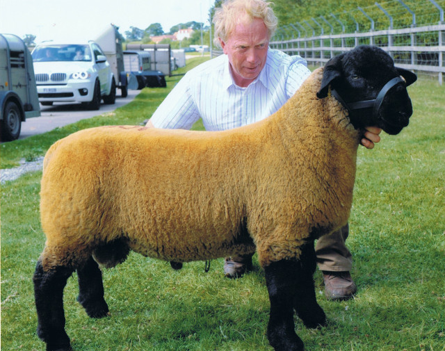 Stock Ram - Pexhil Coalition